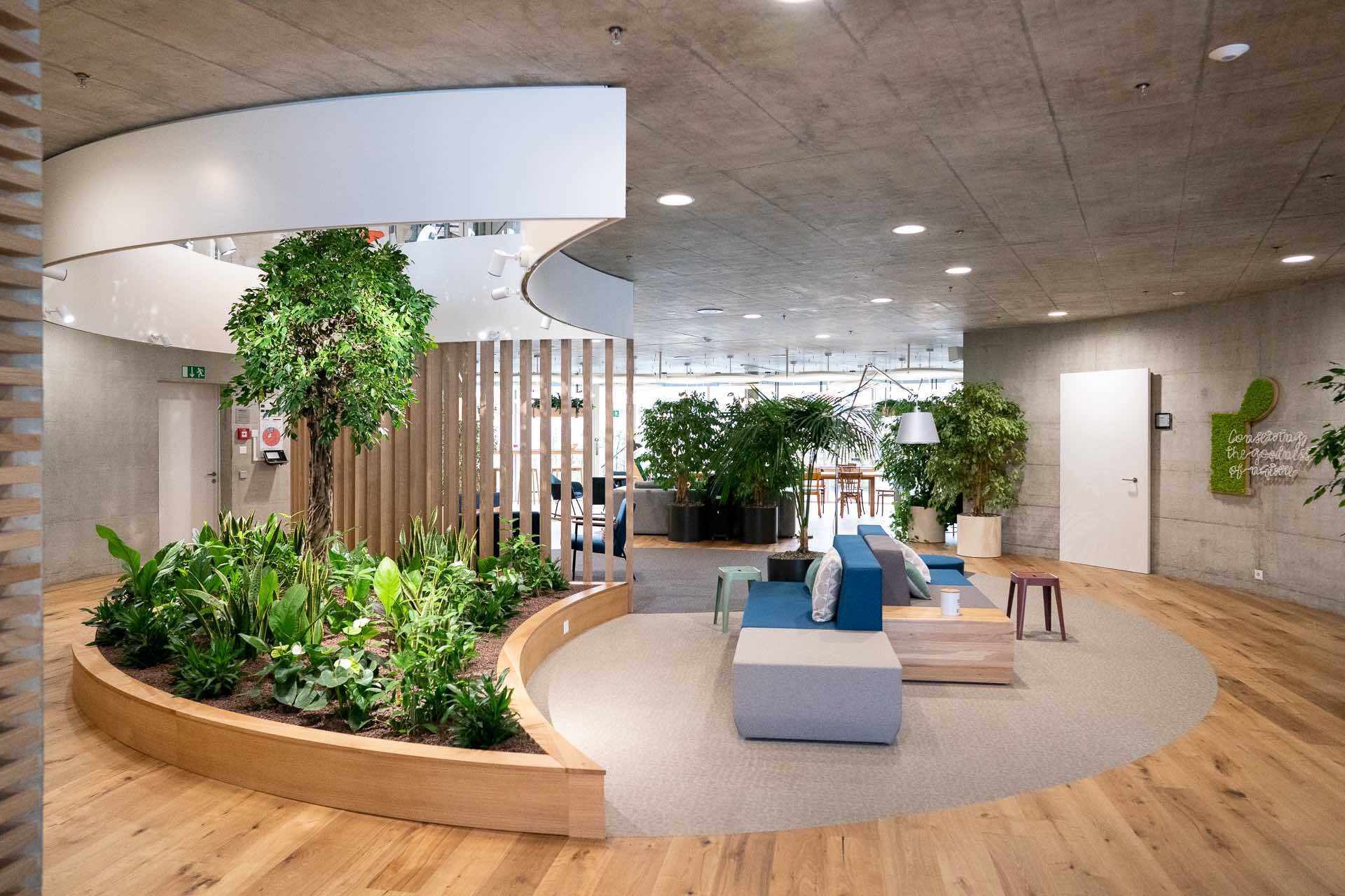 design biophilic