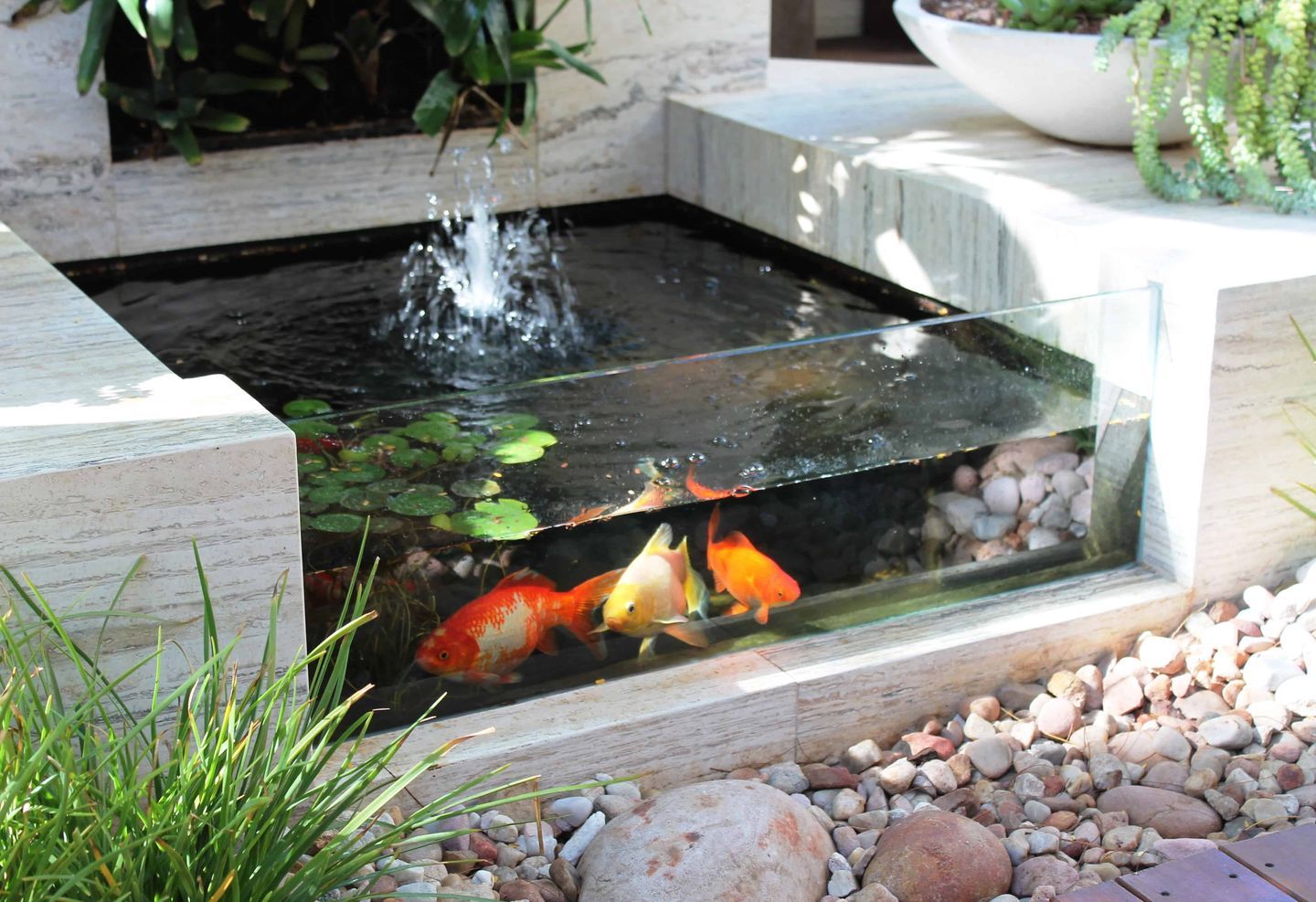 Kolam Ikan Mini