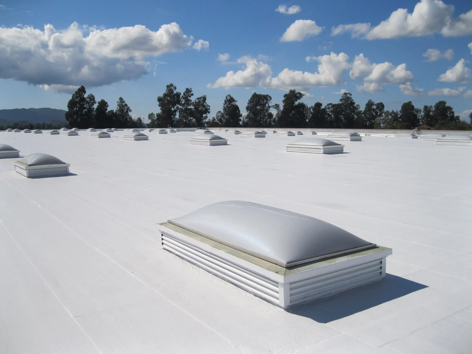 Tpo Roofing