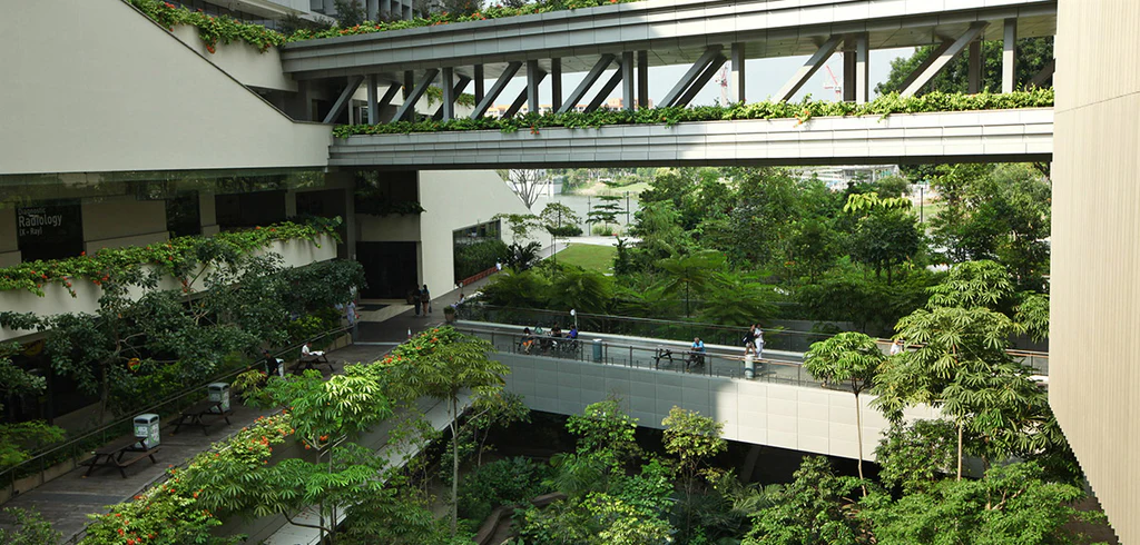 Biophilic design