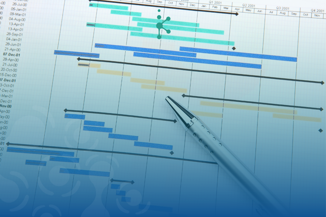 Timeline Proyek